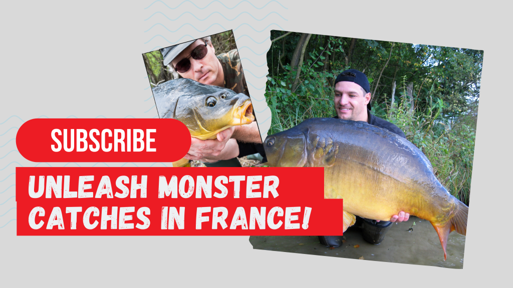 Find the big fish and carp in french carp lakes