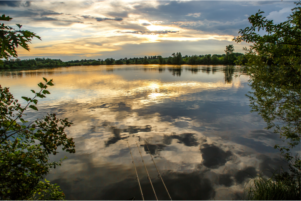 Big Carp Tracker French Lakes Listings for Lake Owners