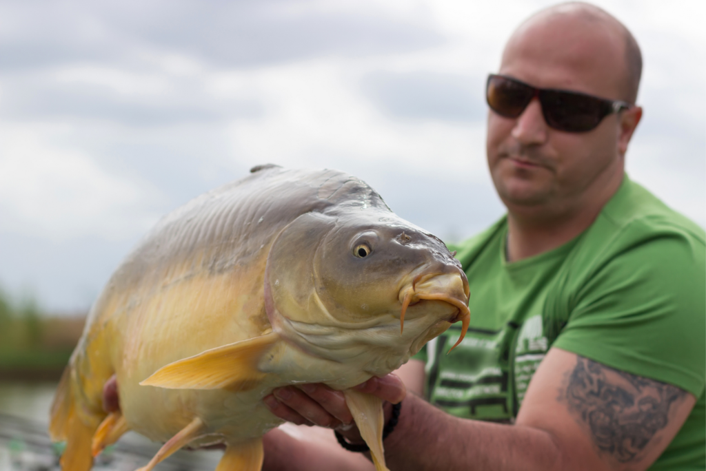 Caught biggest carp in a french lake big carp tracker