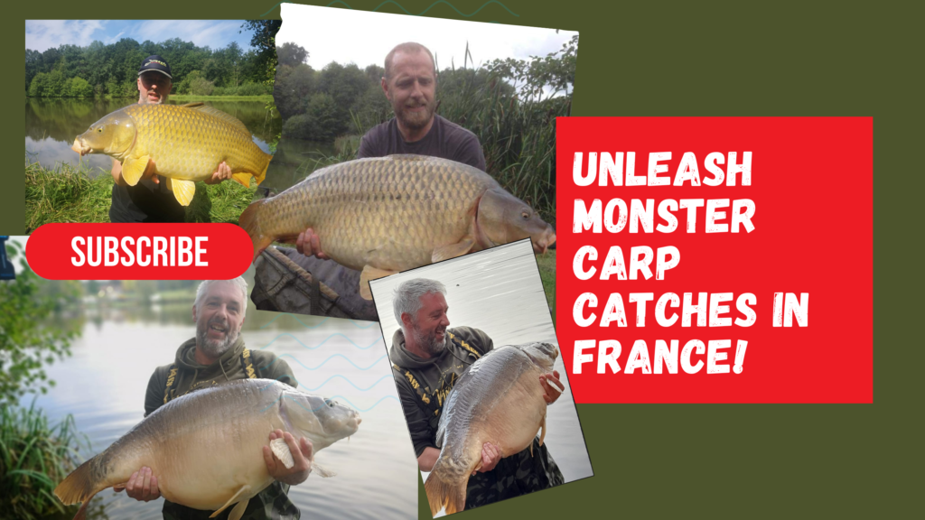 Find the biggest carp in french lakes