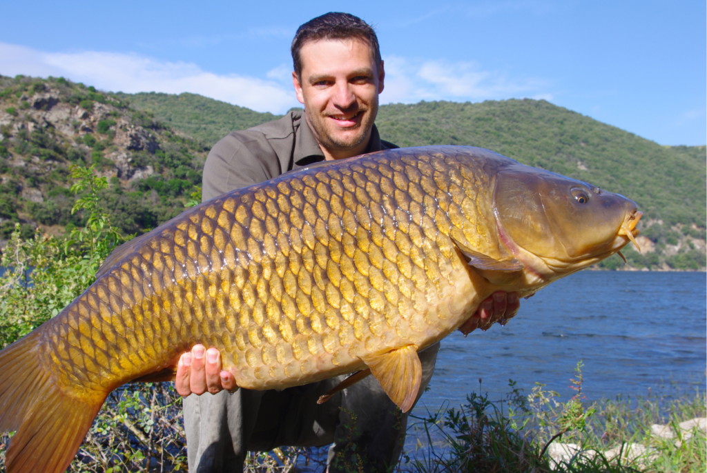 Monster Carp caught In France